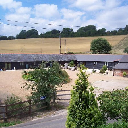 Five Cottages In Aonb And A Hobbit House! カンタベリー エクステリア 写真